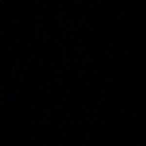 Meet your Posher, Janiya